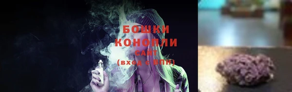 ECSTASY Богородицк